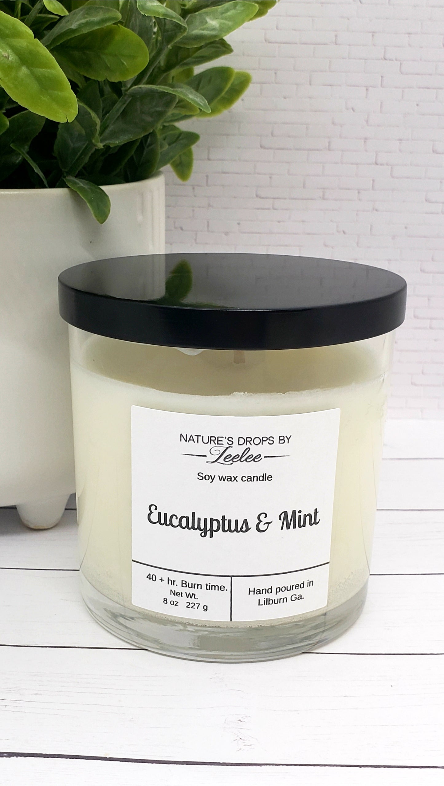 Eucalyptus & Mint - candle/wax melt