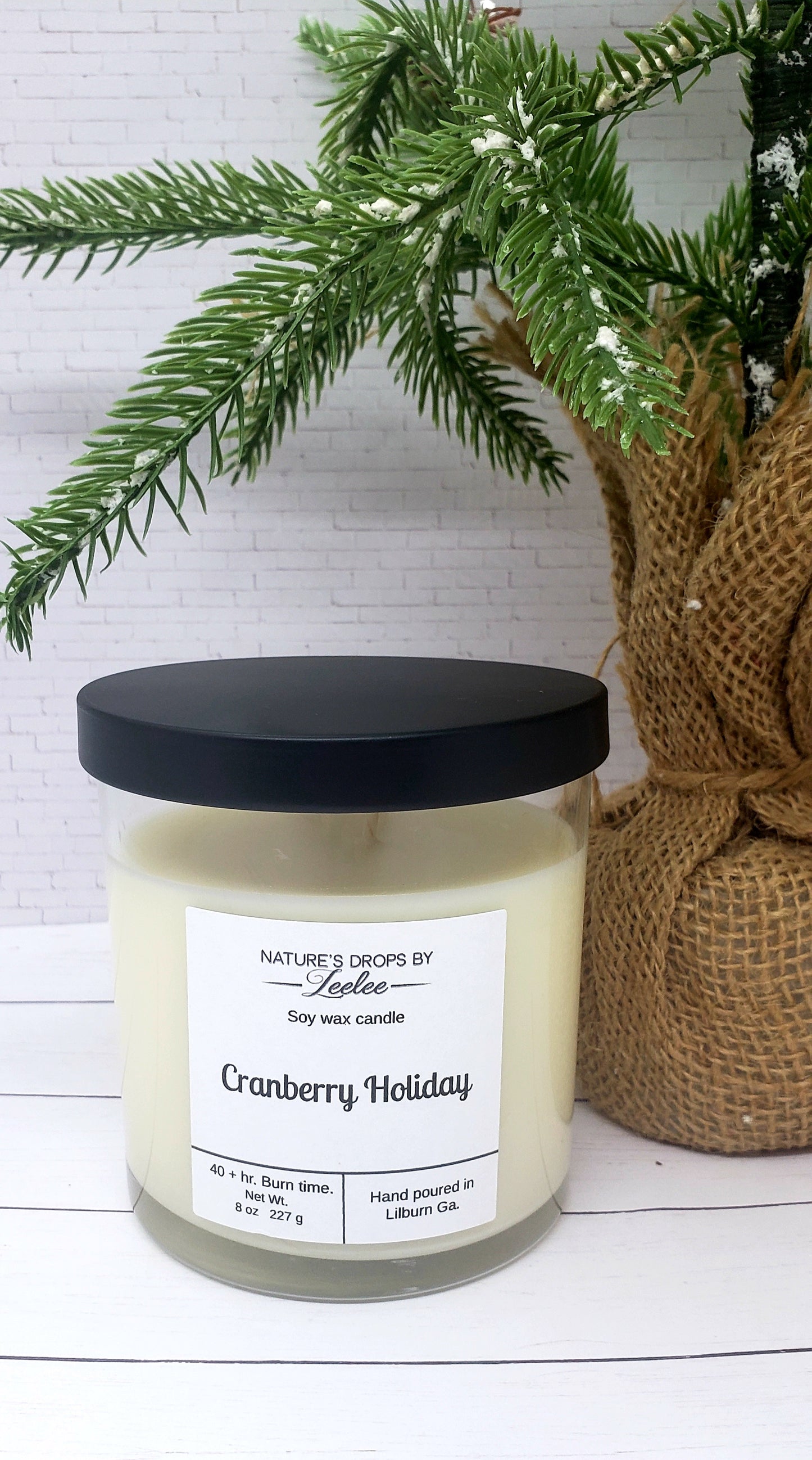 Cranberry Holiday Soy Candle