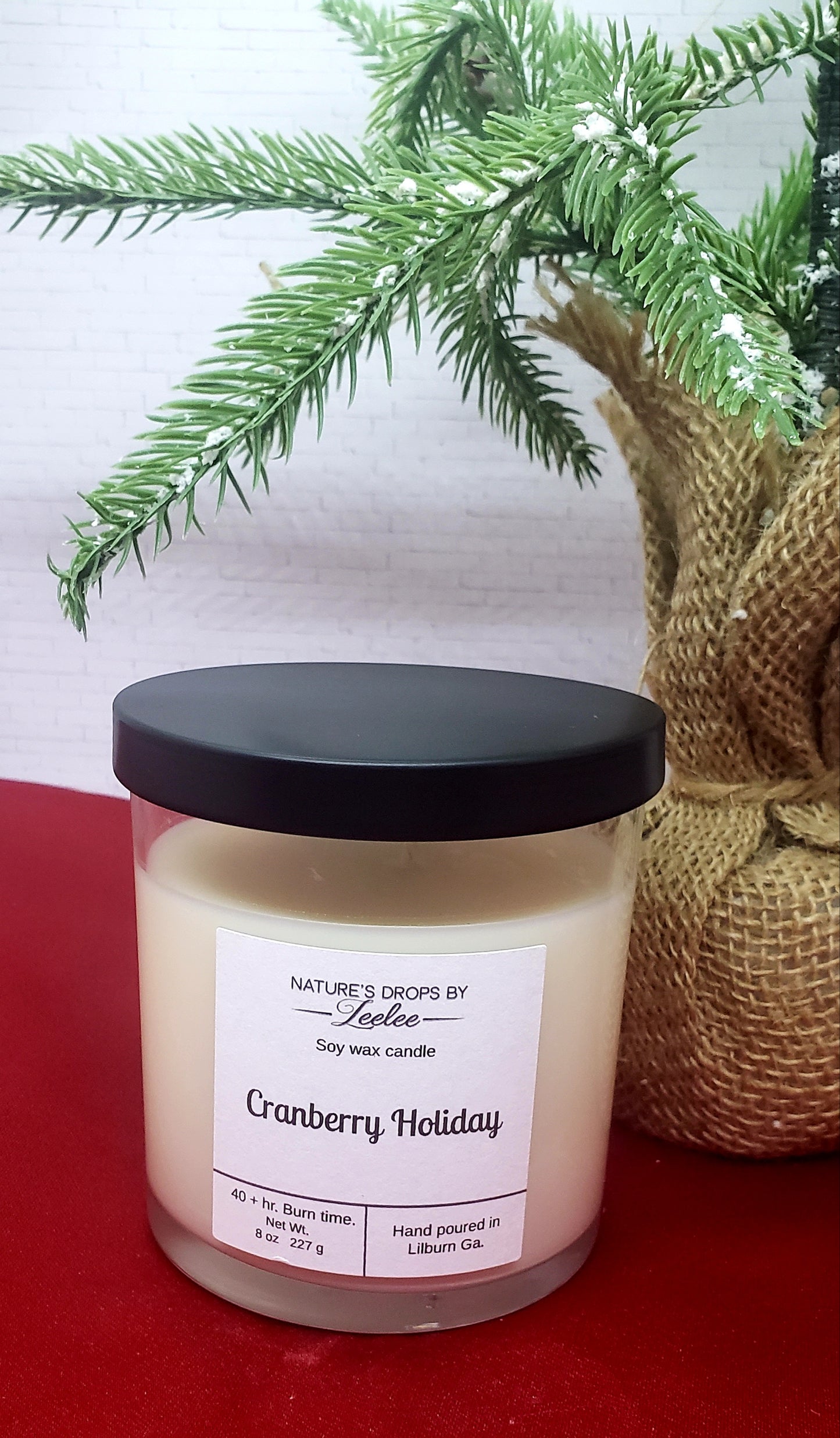 Cranberry Holiday Soy Candle